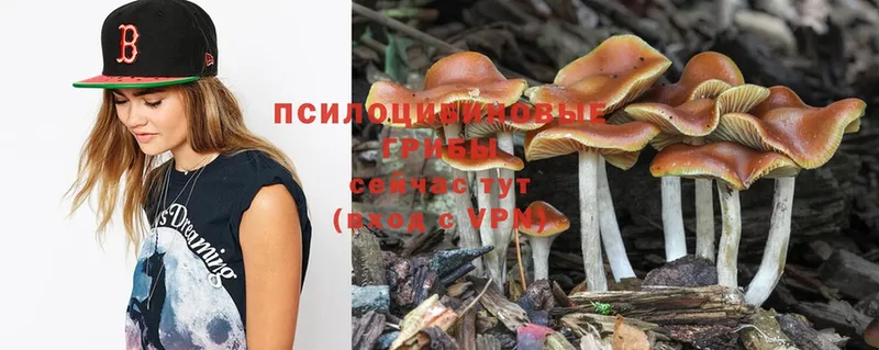 Галлюциногенные грибы MAGIC MUSHROOMS  Уржум 